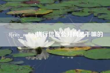 泉州执行信息公开网是干嘛的