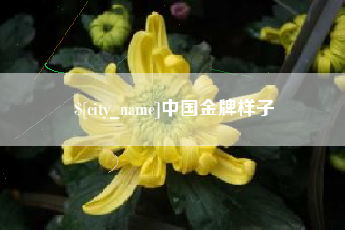 泉州中国金牌样子