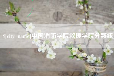 泉州中国消防学院救援学院分数线