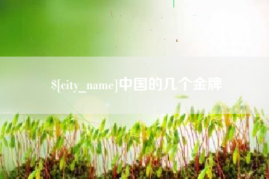 泉州中国的几个金牌