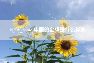 泉州中国的金牌是什么样的