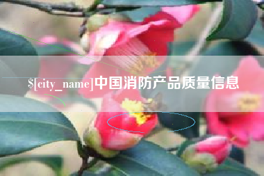 泉州中国消防产品质量信息