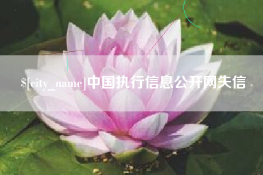 泉州中国执行信息公开网失信