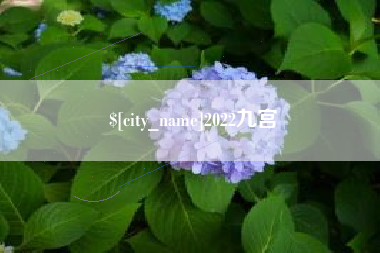泉州2022九宫
