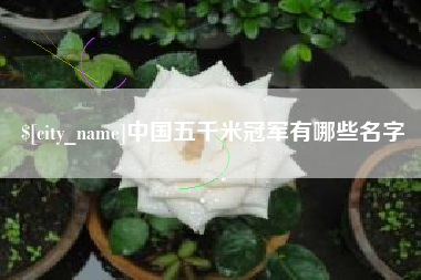 泉州中国五千米冠军有哪些名字