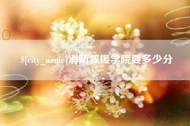 泉州消防救援学院要多少分