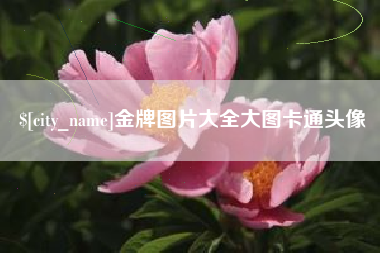 泉州金牌图片大全大图卡通头像