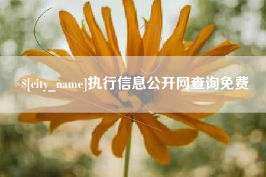 泉州执行信息公开网查询免费