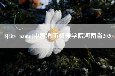 泉州中国消防救援学院河南省2020